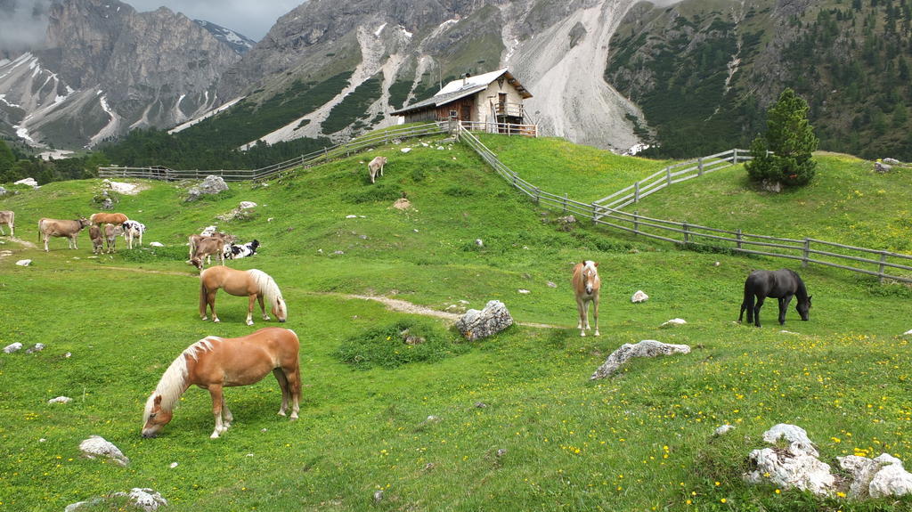 Garni Le Chalet Santa Cristina Val Gardena Екстер'єр фото