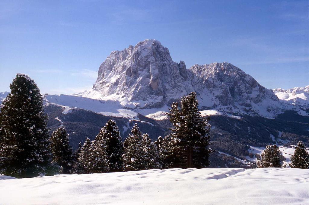 Garni Le Chalet Santa Cristina Val Gardena Екстер'єр фото
